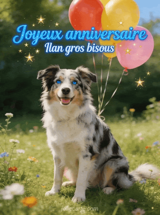 Joyeux anniversaire Ilan - Joyeux anniversaire ilan gros bisous