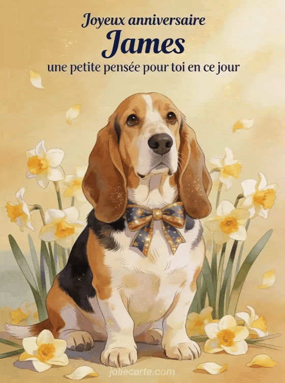Joyeux anniversaire James - Joyeux anniversaire james gros bisous