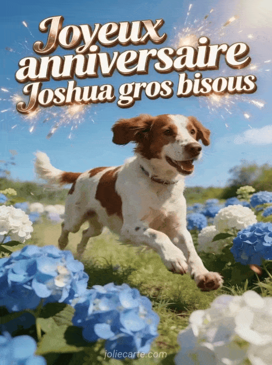 Joyeux anniversaire Joshua - Joyeux anniversaire joshua gros bisous
