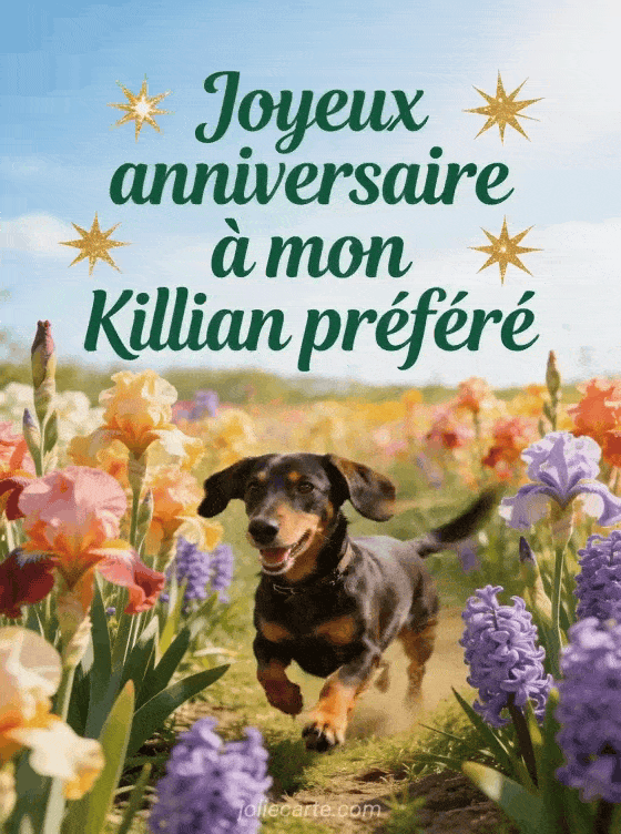 Joyeux anniversaire Killian - Joyeux anniversaire killian bisous