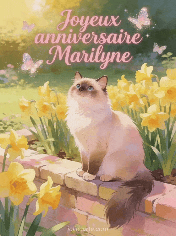 Joyeux anniversaire Marilyne - Joyeux anniversaire marilyne gif anime