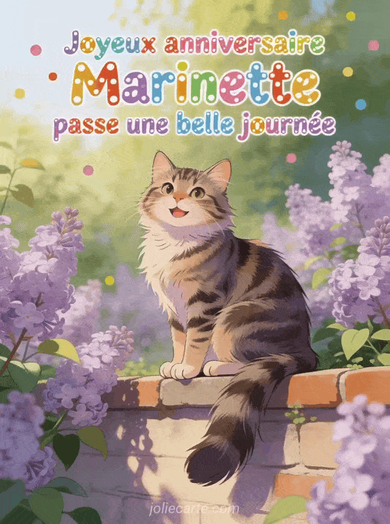 Joyeux anniversaire Marinette - Joyeux anniversaire marinette gif
