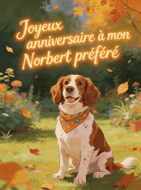 Joyeux anniversaire Norbert - Carte joyeux anniversaire norbert