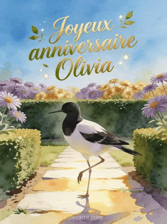 Joyeux anniversaire Olivia - Joyeux anniversaire olivia gif anime