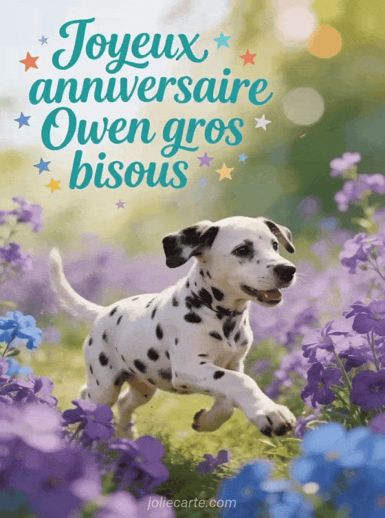 Joyeux anniversaire Owen - Joyeux anniversaire owen gros bisous