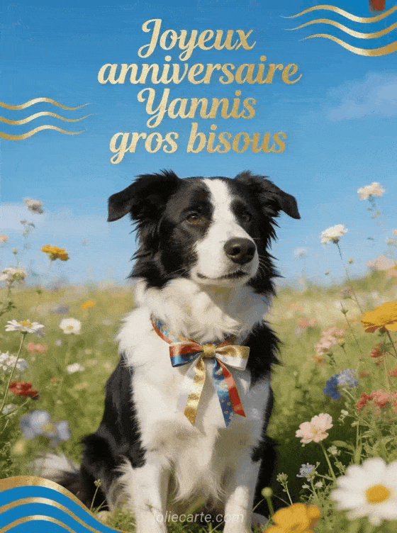 Joyeux anniversaire Yannis - Joyeux anniversaire yannis gros bisous